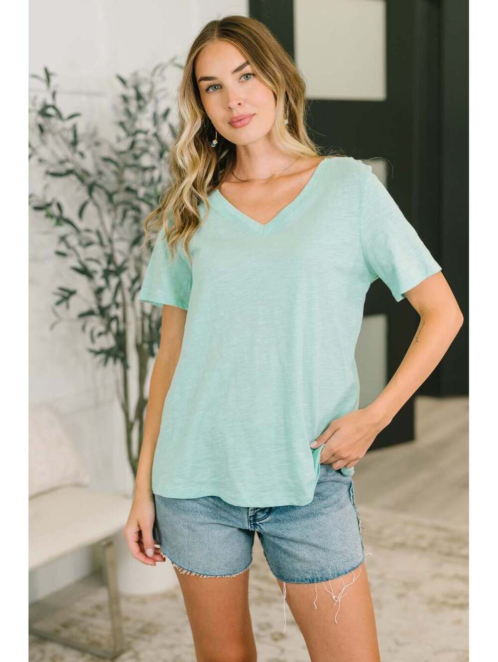 I Don't Have to Choose V-Neck Tee in Mint